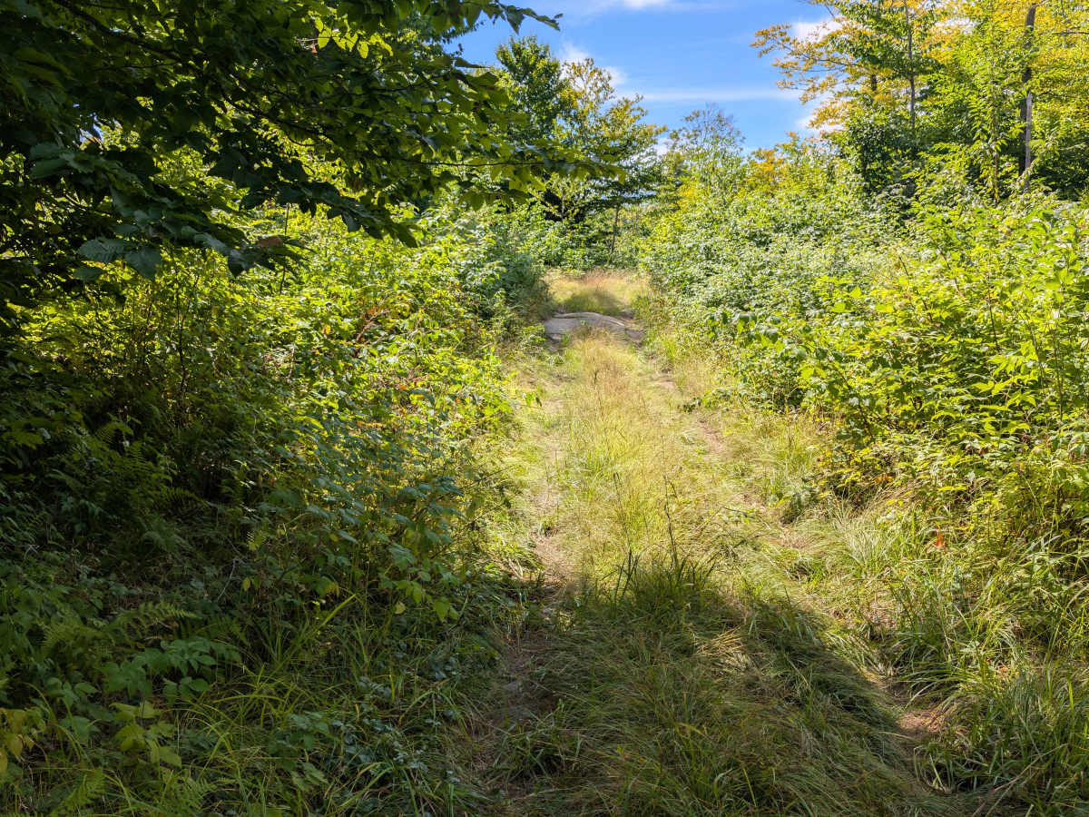 Grass River Trail Alternate photo 3