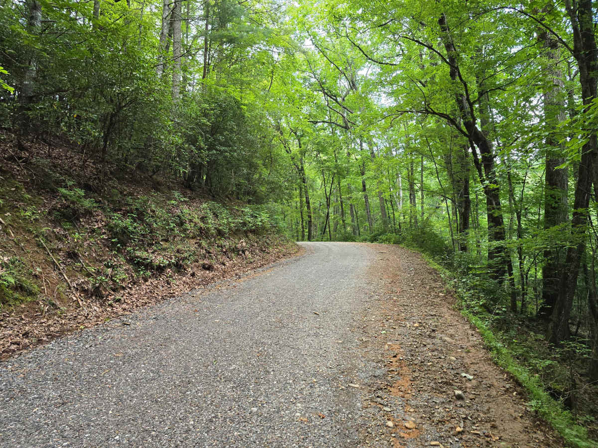Leatherwood Road - FS 6176 photo 2