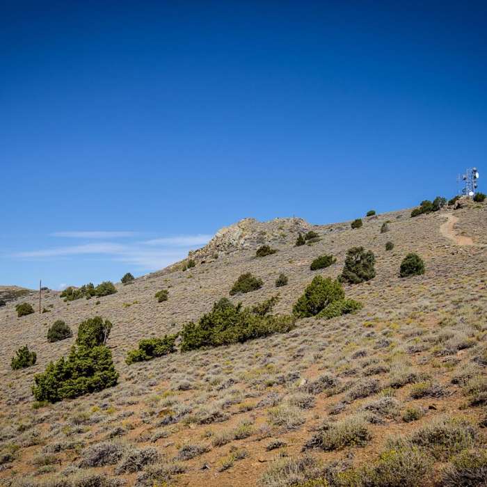 Near Ophir Peak / Mount Davidson