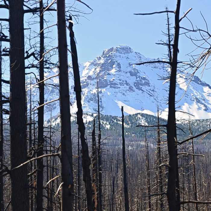 Near Demaris Lake Near Demaris Lake