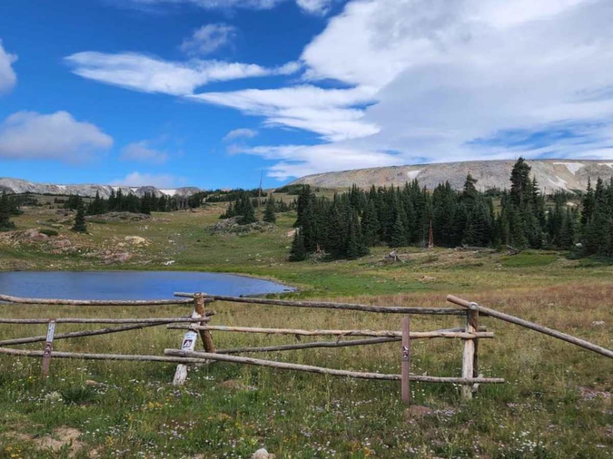 Towner Lake photo 2