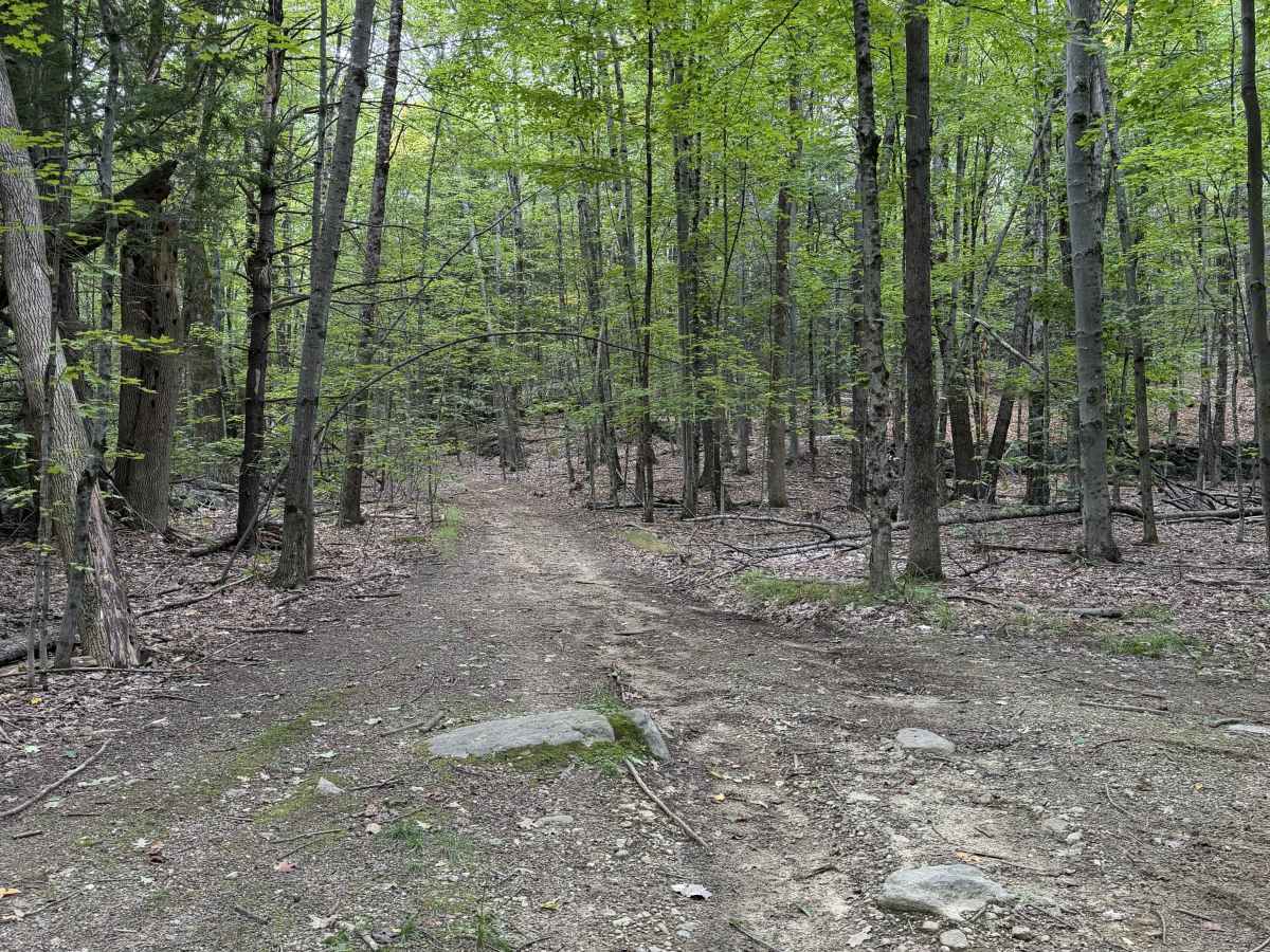 Edan Page Road photo 6