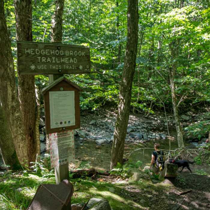 Near Burnt Rock Mountain via Hedgehog Brook Trail Near Burnt Rock Mountain via Hedgehog Brook Trail