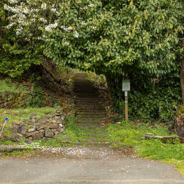 Near George Himes Park Trail