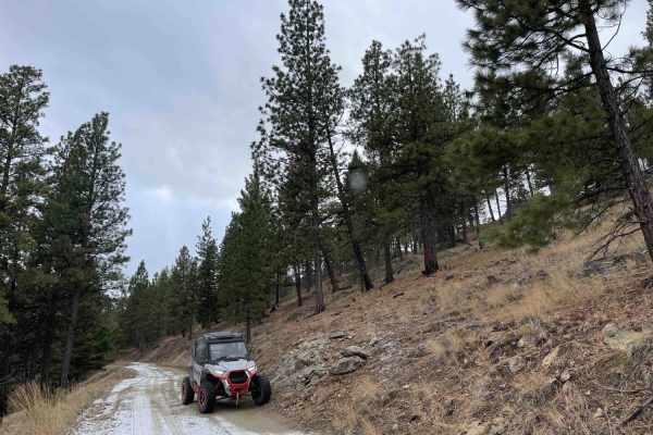 Lloyd Scenic Loop