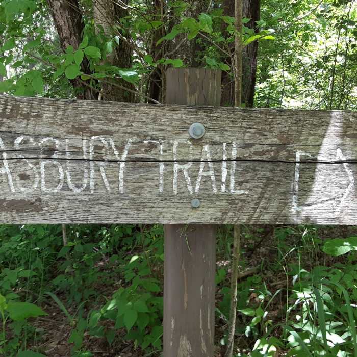 Trailhead Near Cataloochee Divide Trail