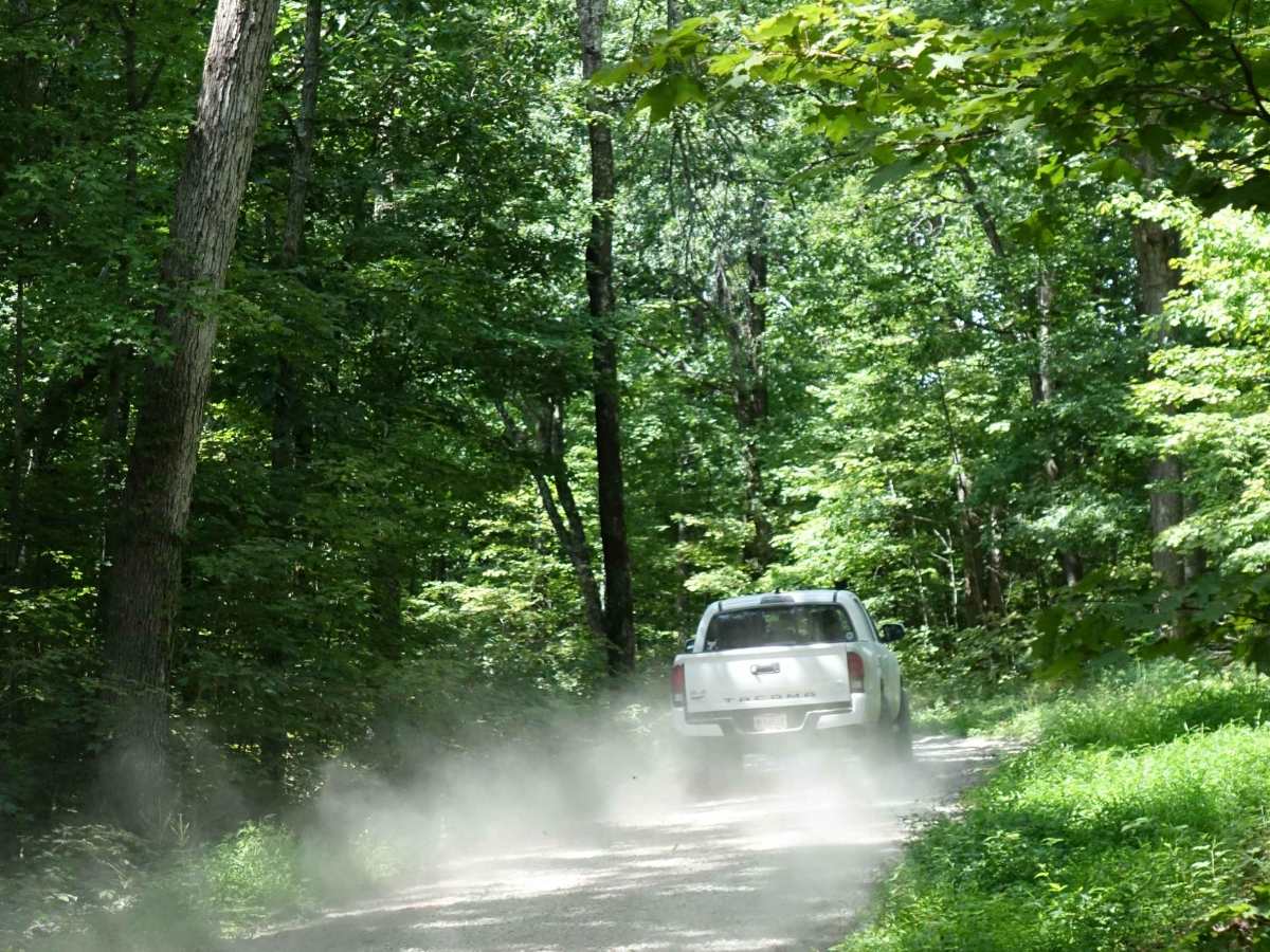 Ryans Mountain Road photo 4