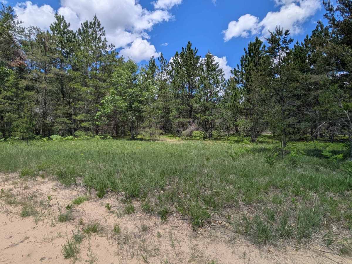 East Tower Road - FS 4169 photo 6