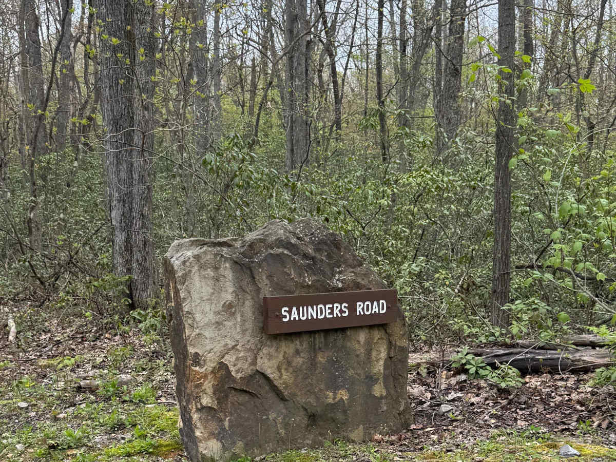 Saunders Road trail photo