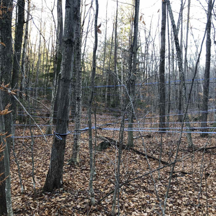 Near Andrew Brook Trail