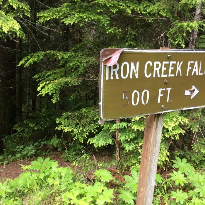 Near Iron Creek Falls