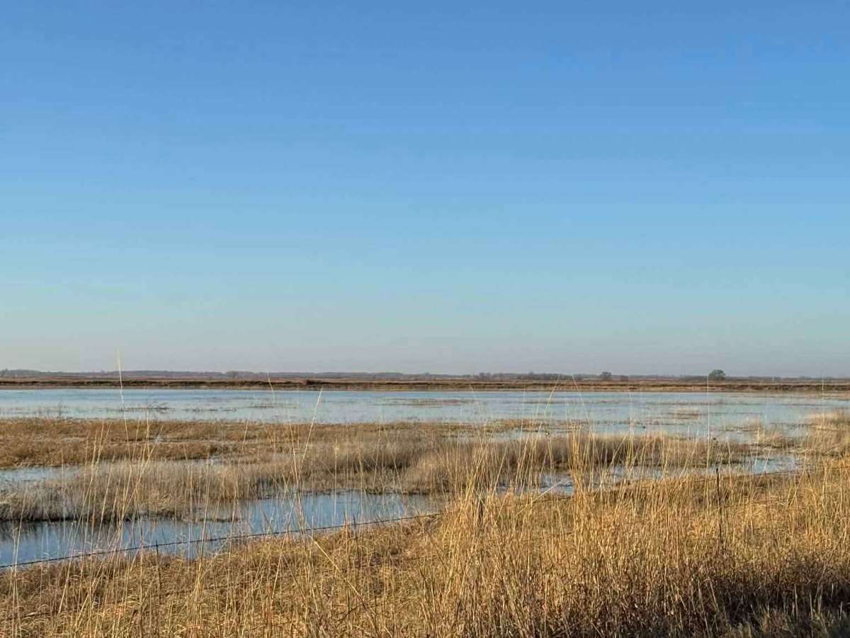 Big Salt Marsh Road photo 6