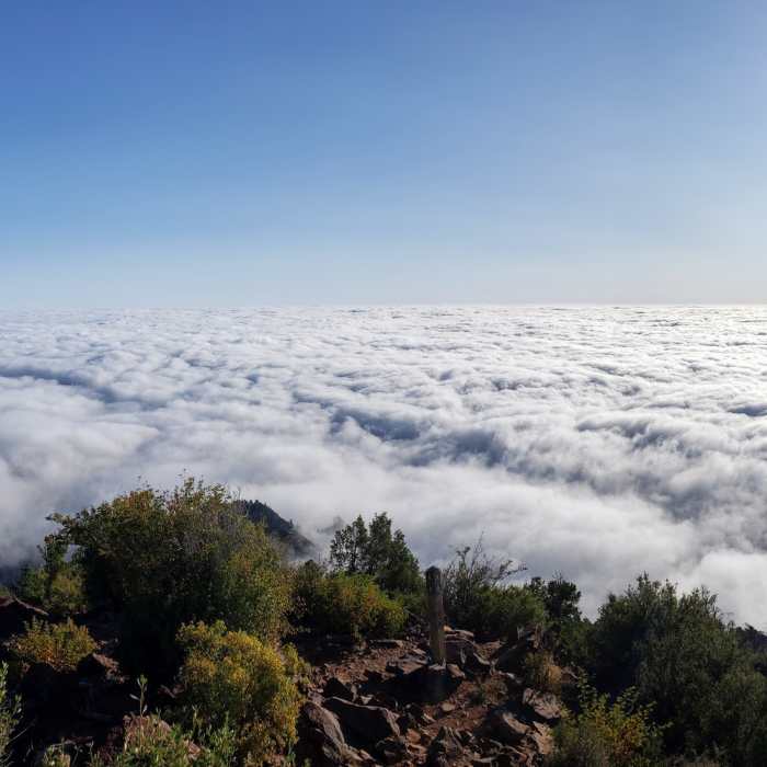 Looking down toward Boulder from Bear Peak. Boulder is under that lovely cloud, somewhere. Near Bear Peak Summit Trail