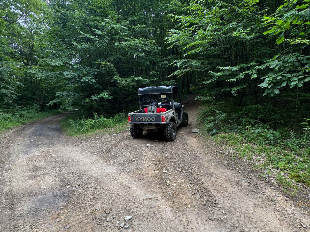 Trail 31 trail photo
