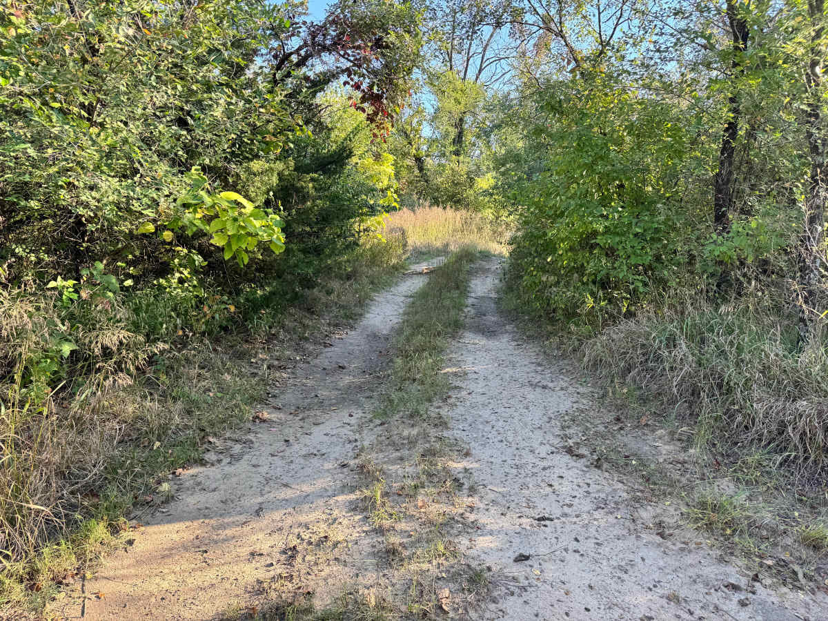 Downpipe Drive trail photo