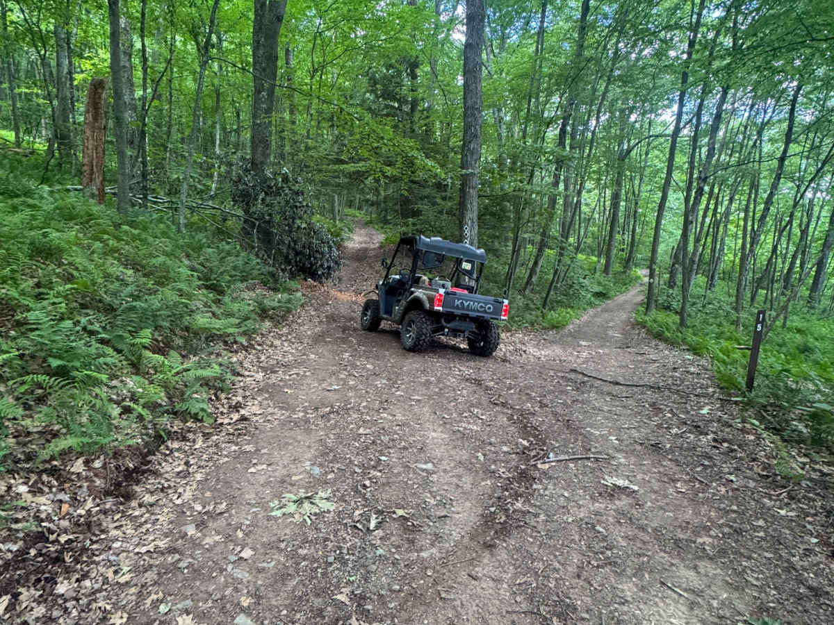 Jack Martin Trail trail photo