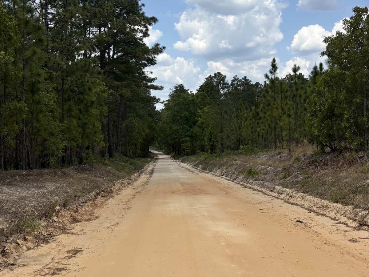 Swift Creek Road  photo 6