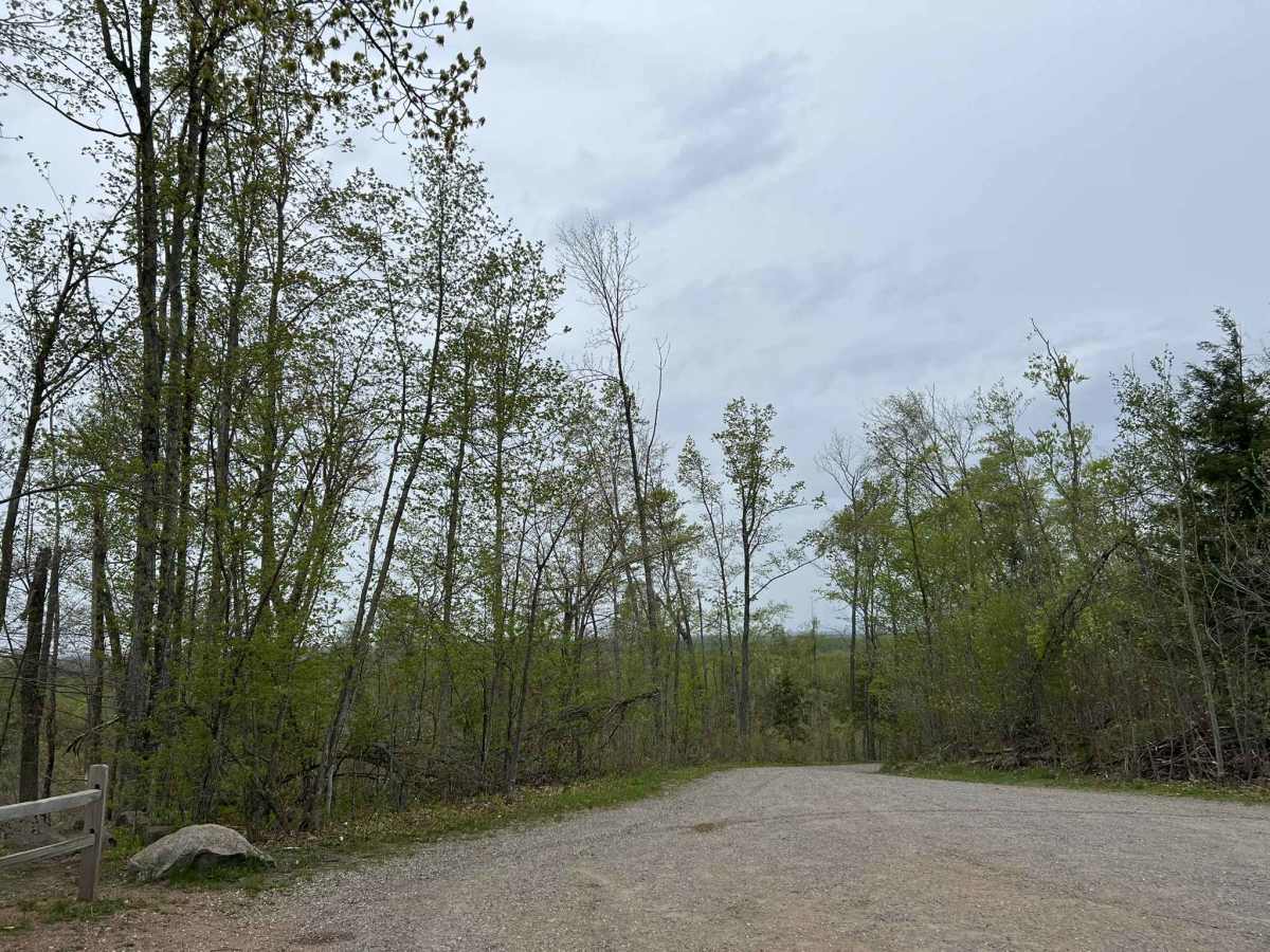 Mountain Tower Road photo 5