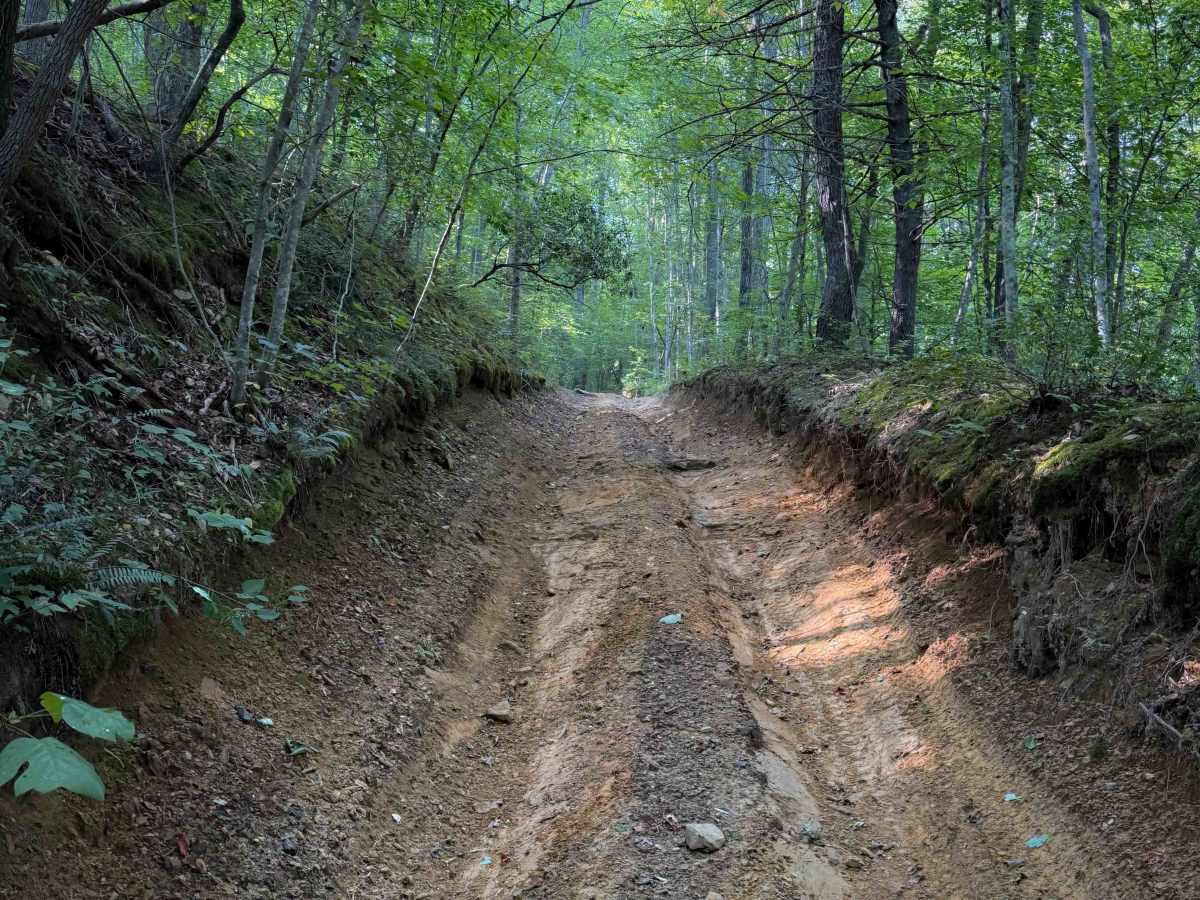 Bowling Branch Trail trail photo