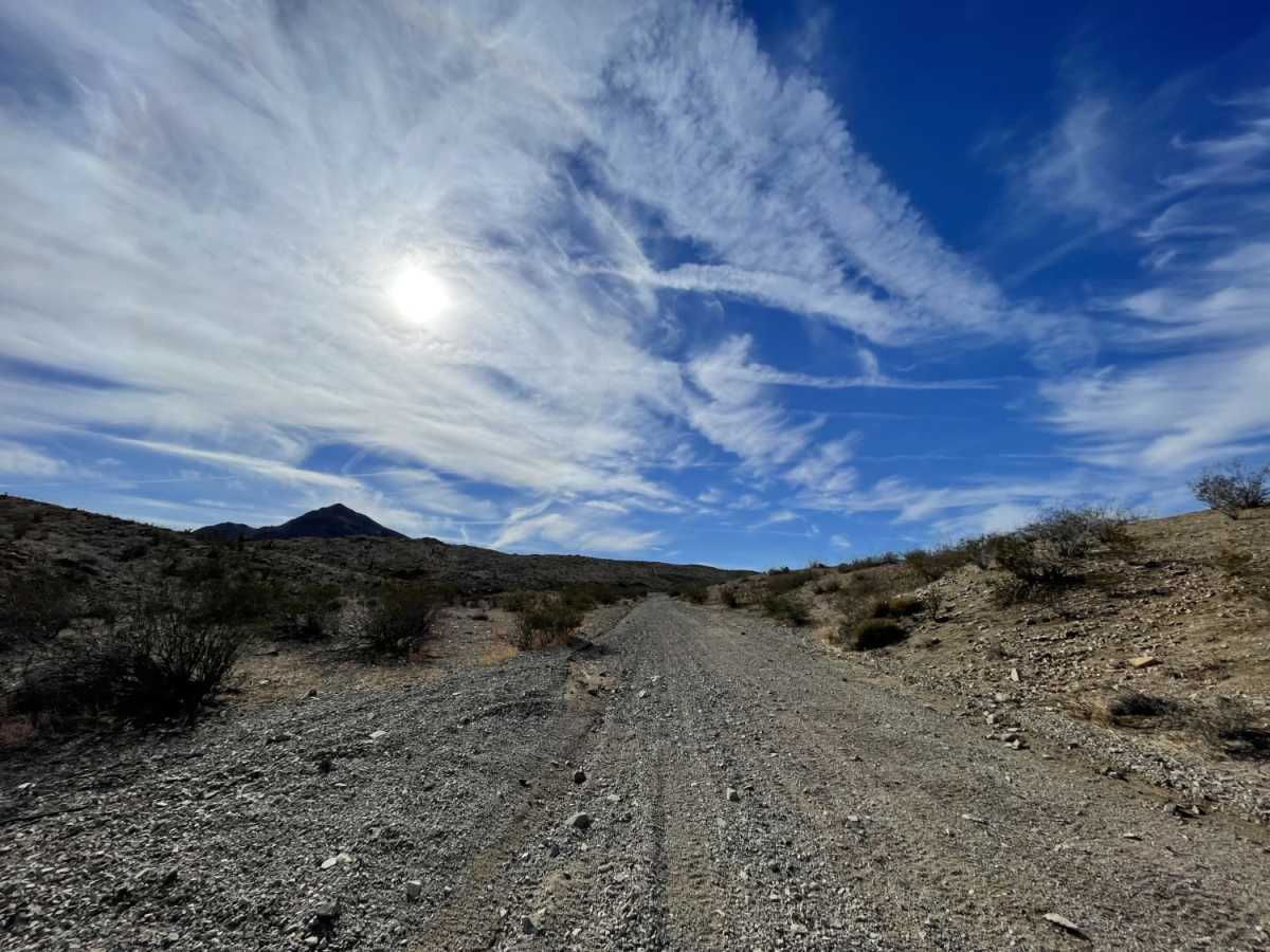 Oh Look, Joshua Trees photo 5