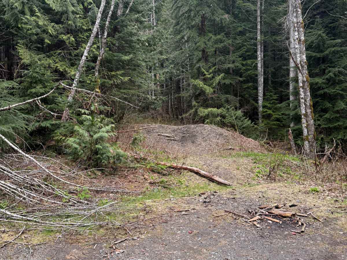 FlapJack - FS 2079 photo 4