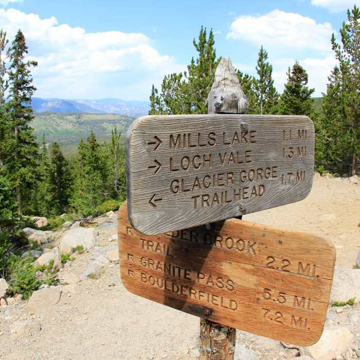 Near North Longs Peak Trail