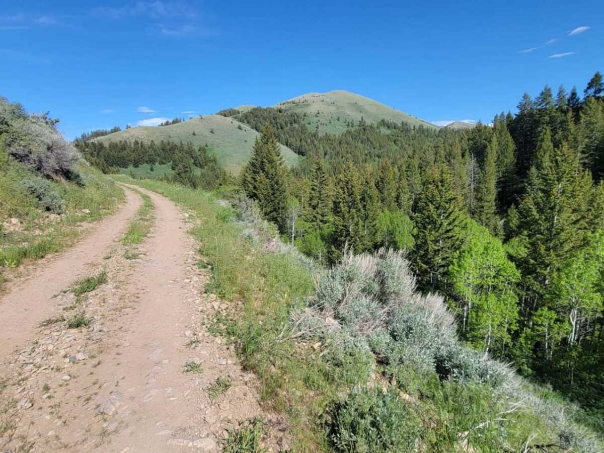 Sheep Canyon 2 trail photo