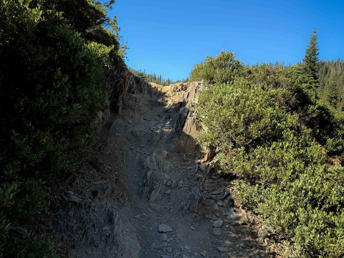 Butcher Ranch  photo 6