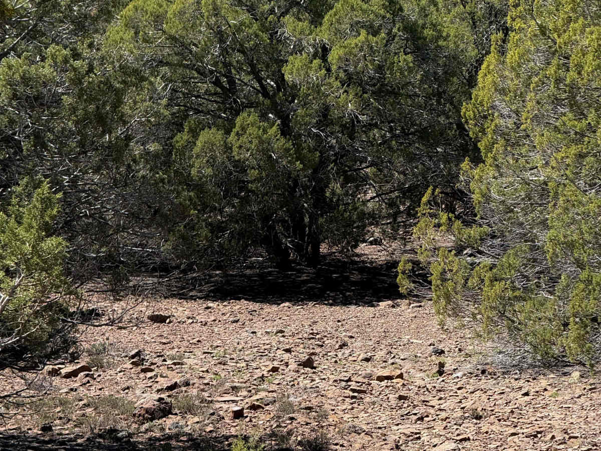 Smith Mesa Corral #665  photo 6