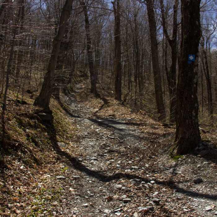 Near Berlin Mountain + Taconic Crest Trail Near Berlin Mountain + Taconic Crest Trail