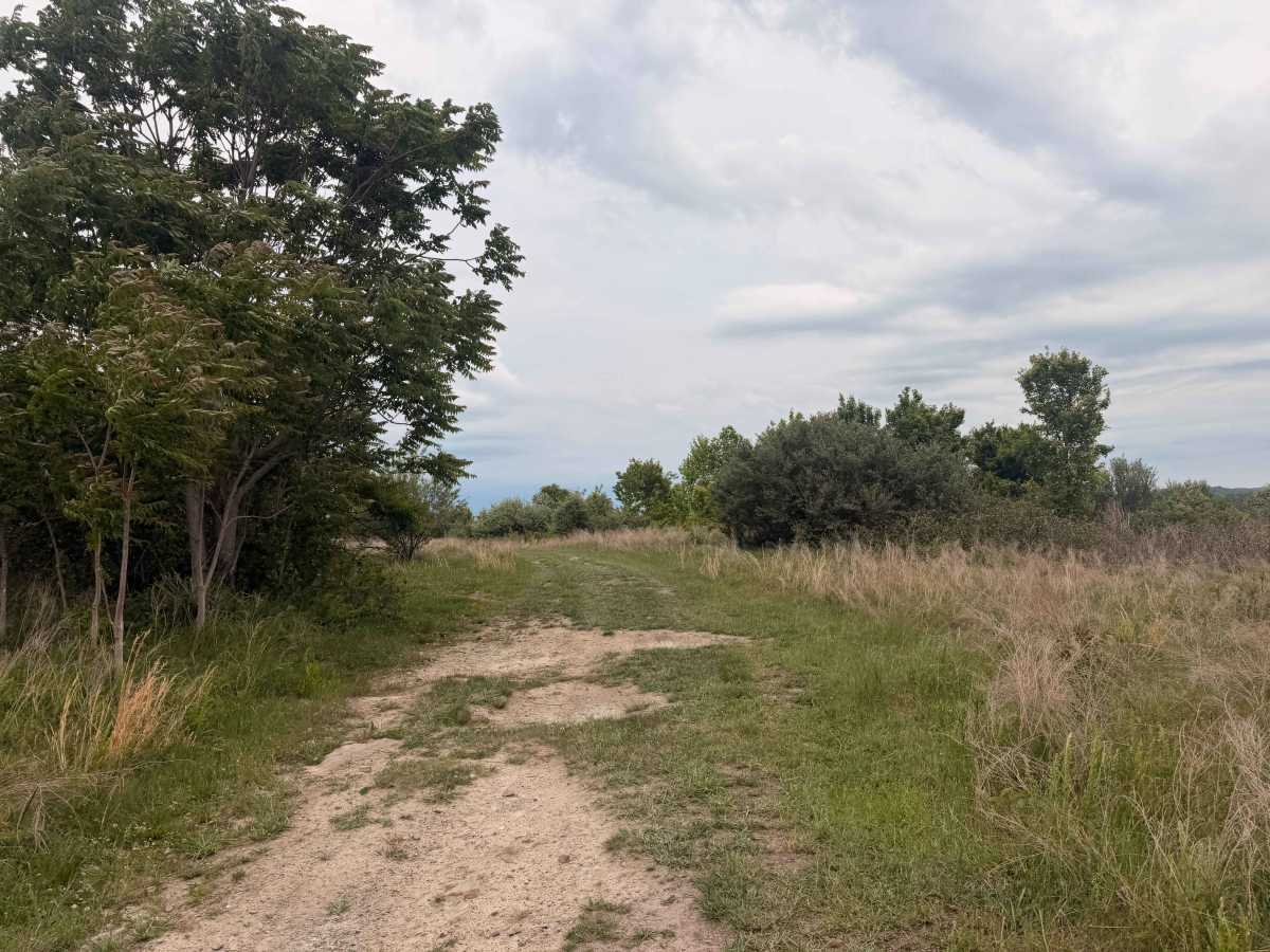 Hillside Trail photo 4