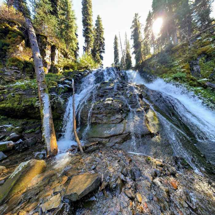 Close-up of the falls in late summer. Near Grotto Falls Trail