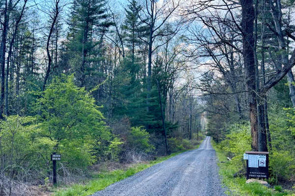 East Spruce Run Road