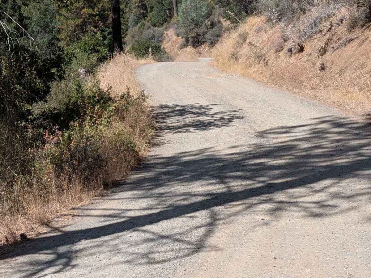 Bridge Gulch Road - FS 31N19  photo 2