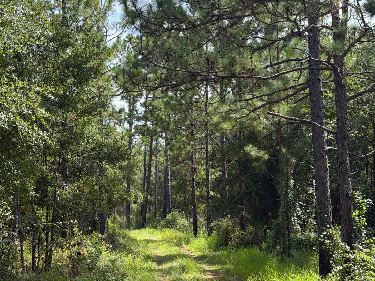 Blackwater River R72 photo 4