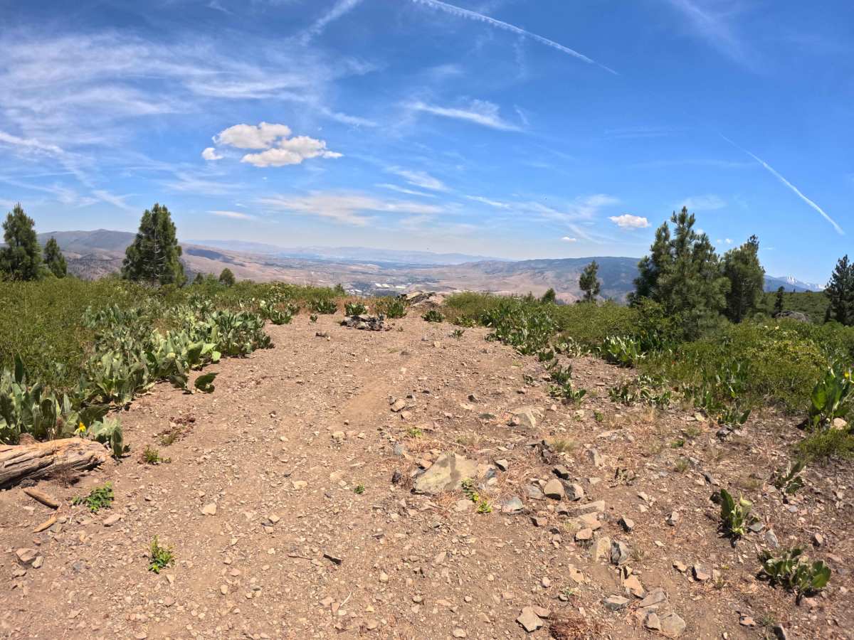 Verdi Ridge Loop Road - FS 31074 trail photo