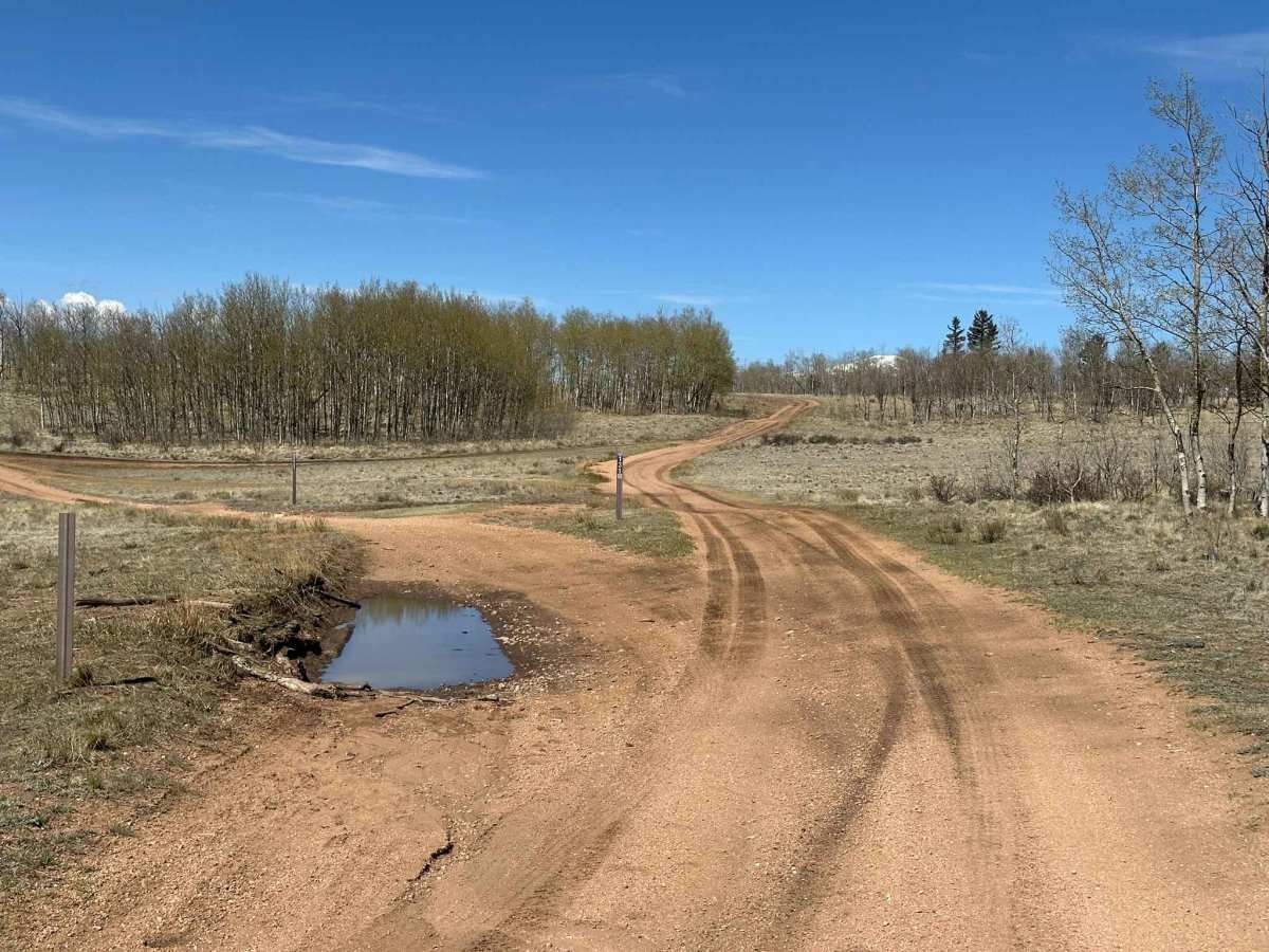 Pearl Road photo 5