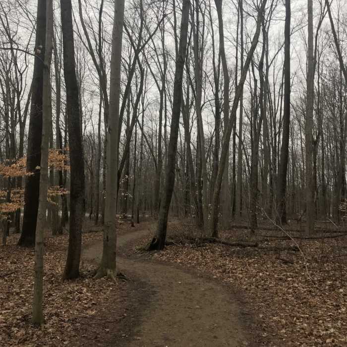 Near Pheasant Run Trail