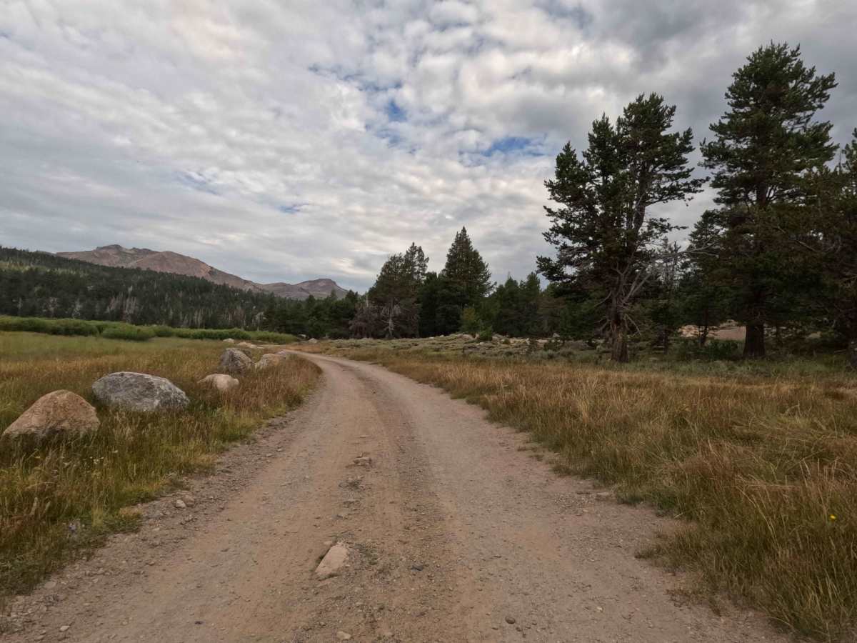Hope Valley Campground South - FS 31081 photo 4