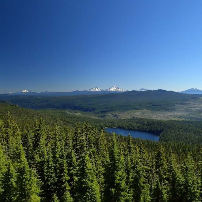Near Waldo Mountain Trail #3592