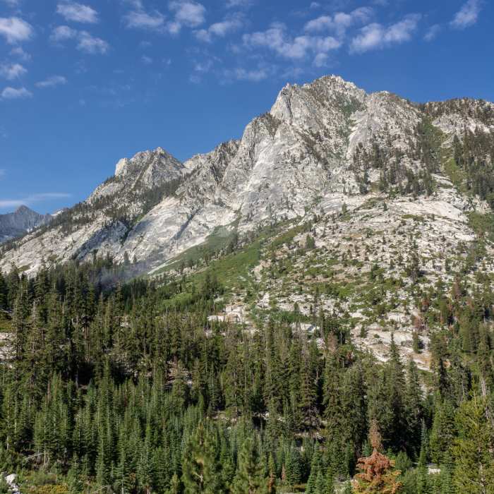 Near Bubbs Creek Trail
