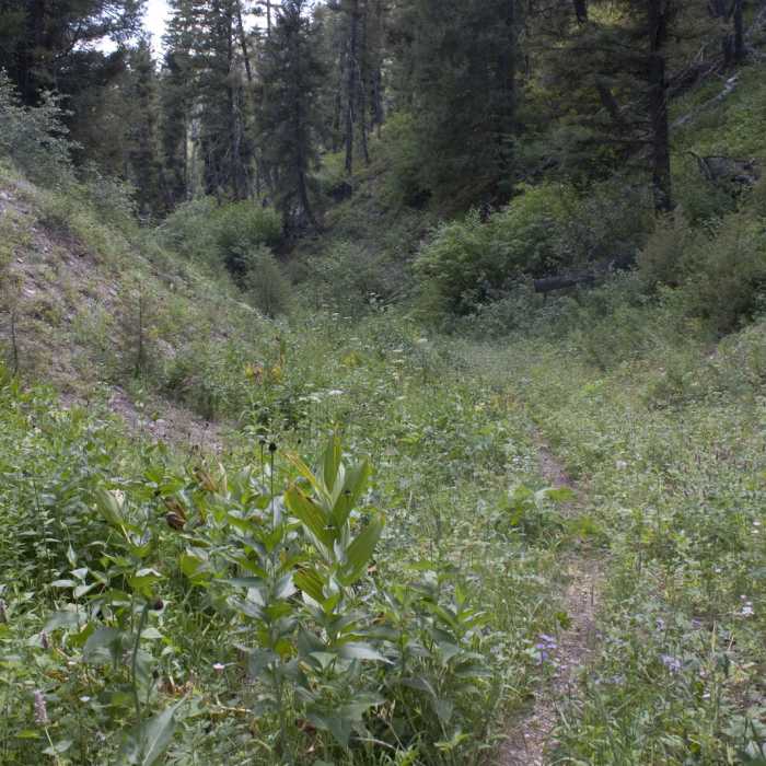 Near China Basin to Joe Daley Creek