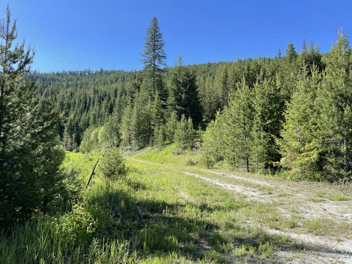 West Fork Butte photo 5