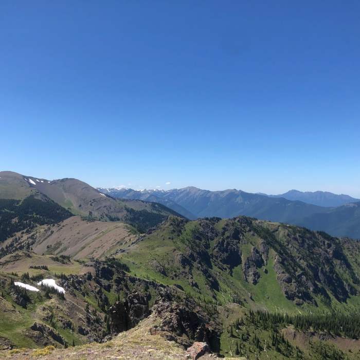 Near Tyler Peak Trail