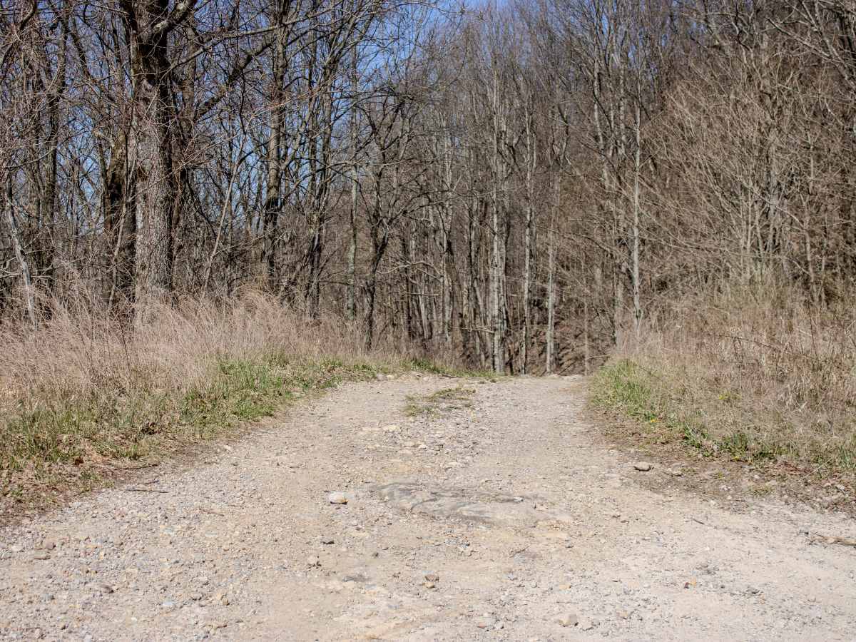 RBS 2 trail photo
