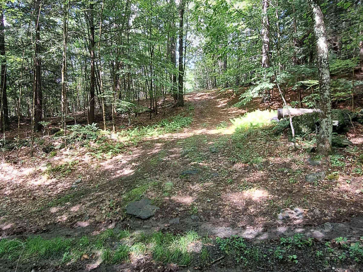 Porter Road photo 2