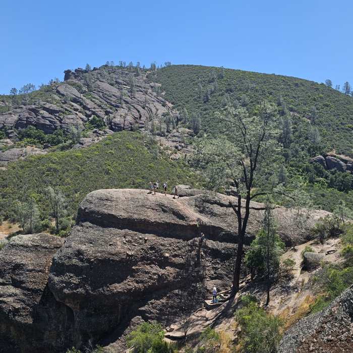 Near Moses Spring Trail