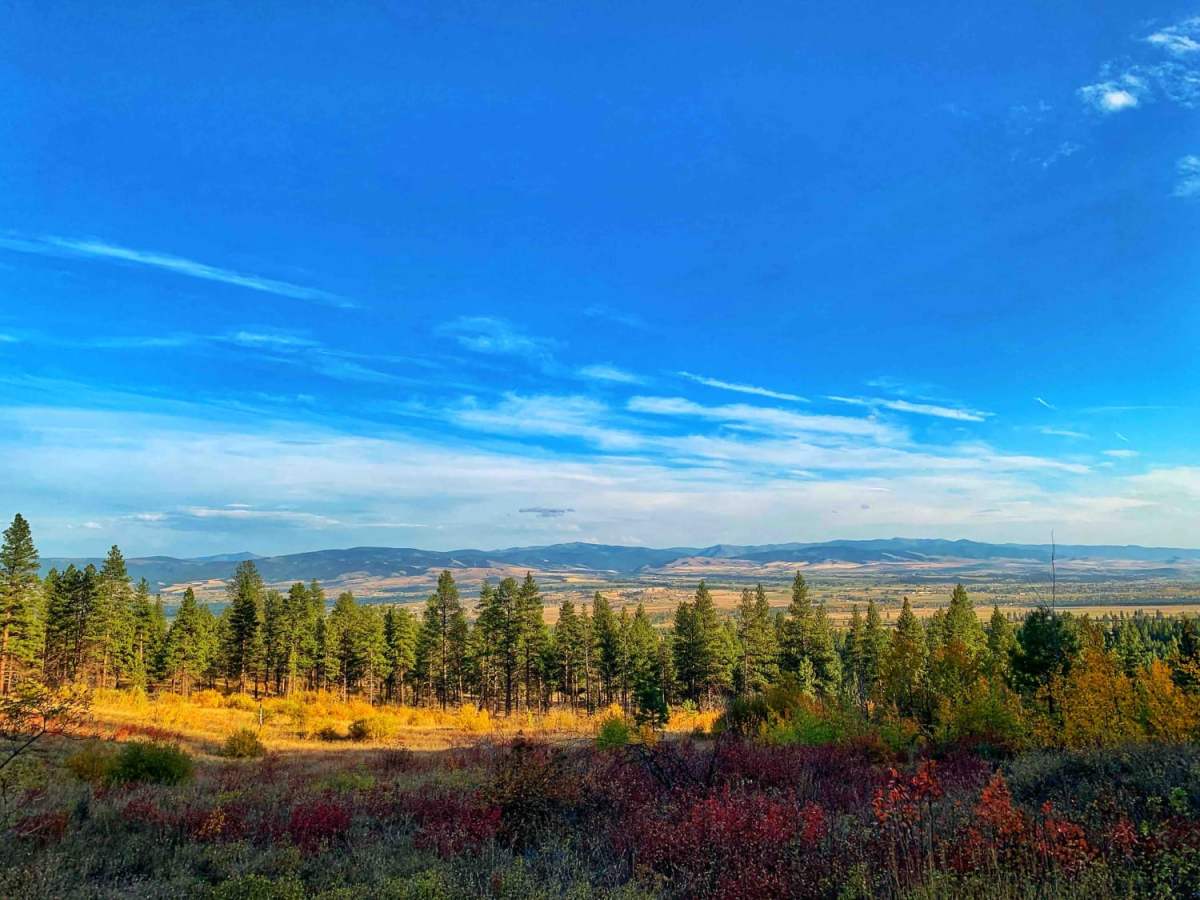 Bass Overlook Trail trail photo
