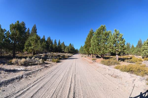 Logging Camp Road