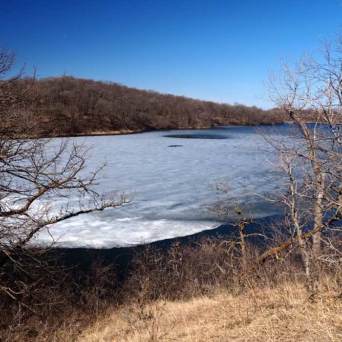 Near High Peaks Trail